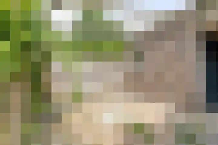 Kalorama 115 Hoofddorp thumbnail 20