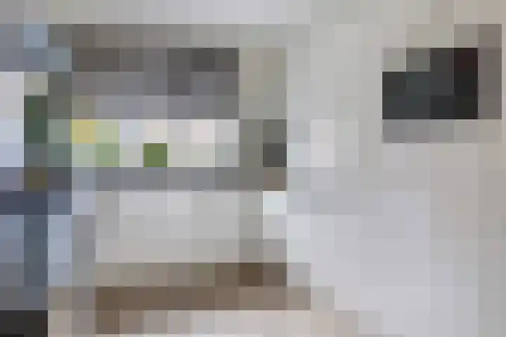 Kalorama 128 Hoofddorp thumbnail 12
