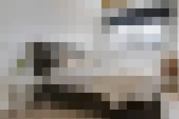 Kalorama 128 Hoofddorp thumbnail 18