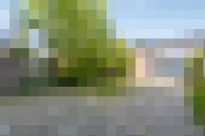 Kalorama 59 Hoofddorp thumbnail 14