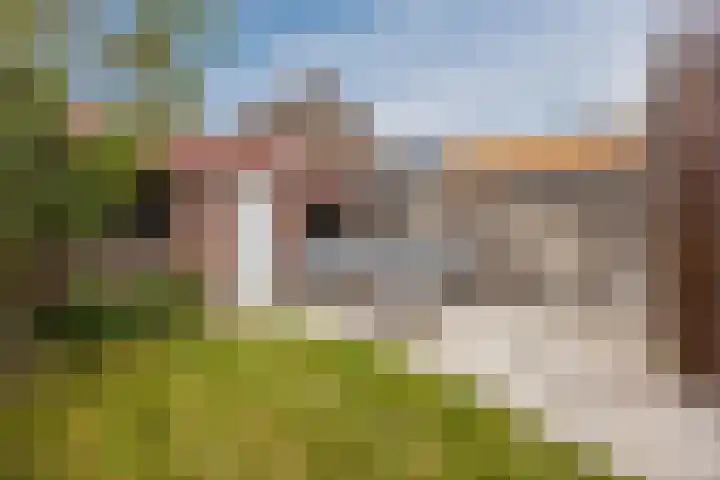 Kalsdonksestraat 117 Roosendaal thumbnail 33
