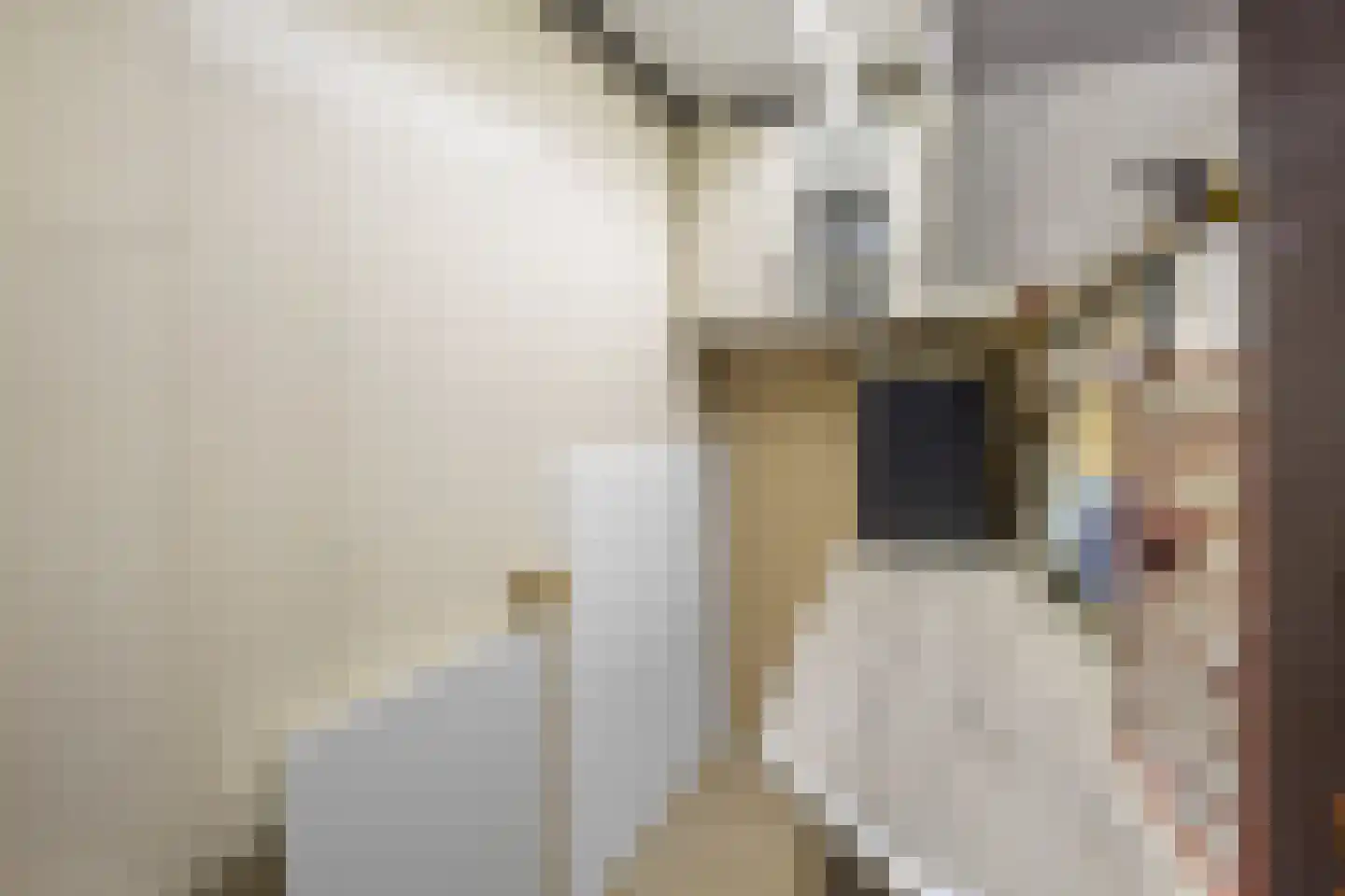 Kalsdonksestraat 4 Roosendaal thumbnail 13