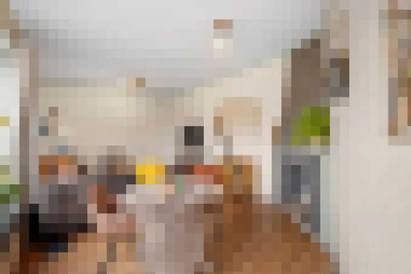 Kalsdonksestraat 4 Roosendaal thumbnail 16