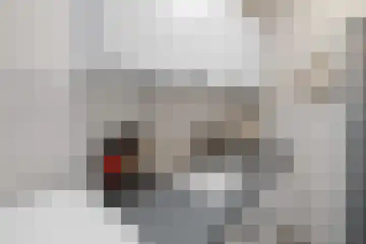 Kalsdonksestraat 4 Roosendaal thumbnail 20