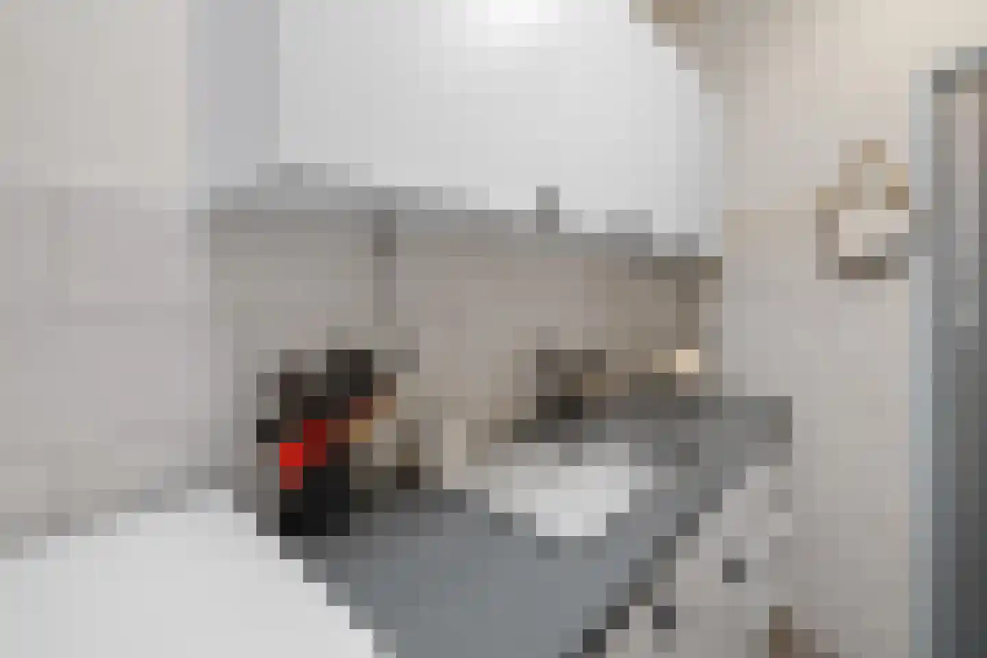 Kalsdonksestraat 4 Roosendaal thumbnail 20