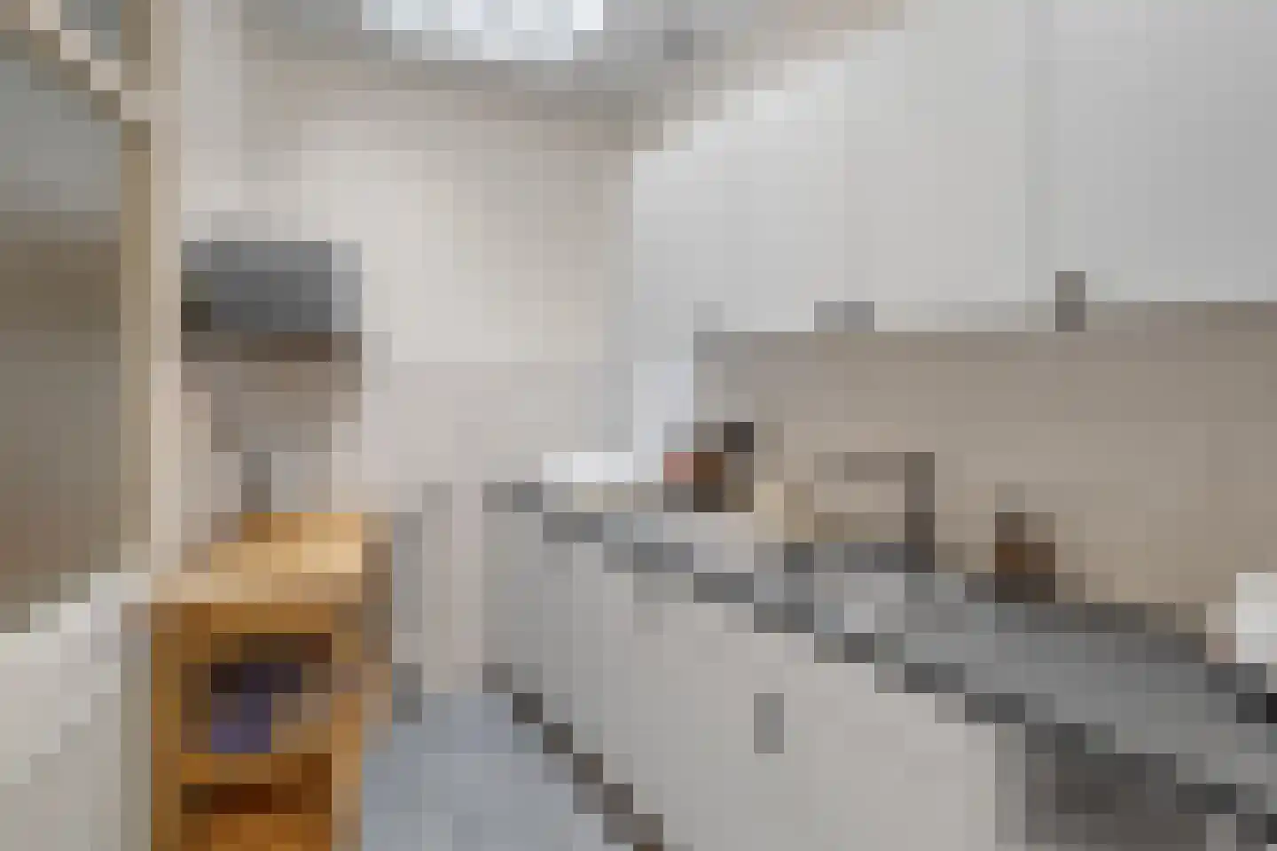 Kalsdonksestraat 4 Roosendaal thumbnail 23
