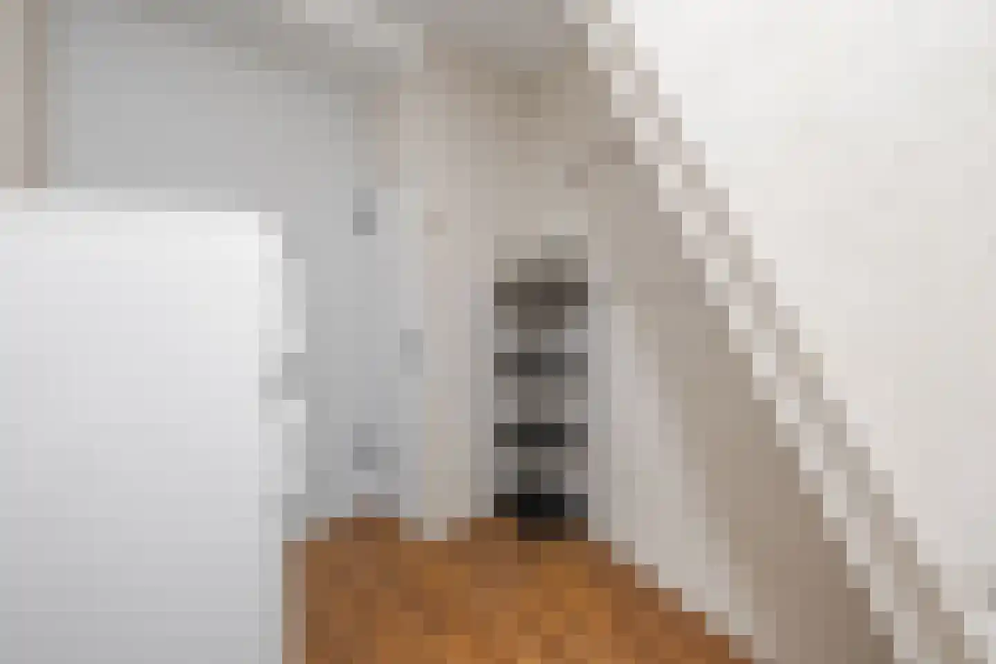 Kalsdonksestraat 4 Roosendaal thumbnail 28