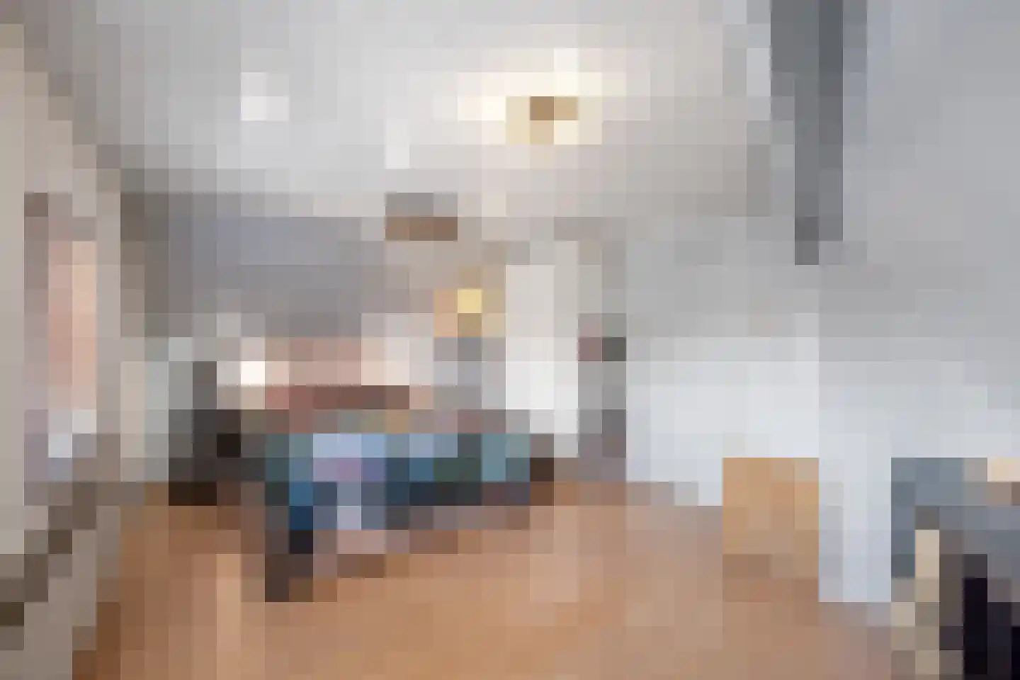 Kalsdonksestraat 4 Roosendaal thumbnail 34