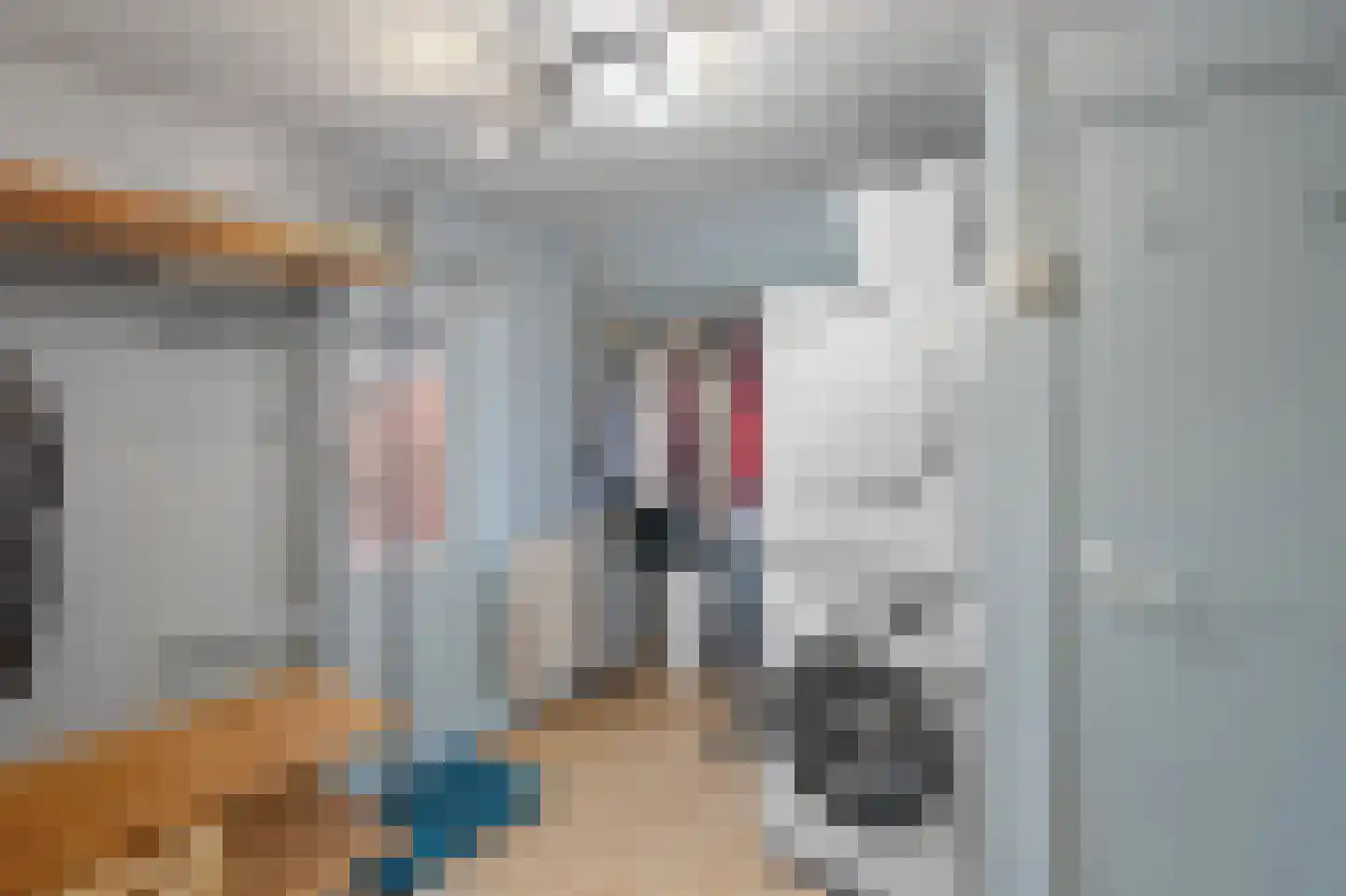 Kalsdonksestraat 4 Roosendaal thumbnail 35