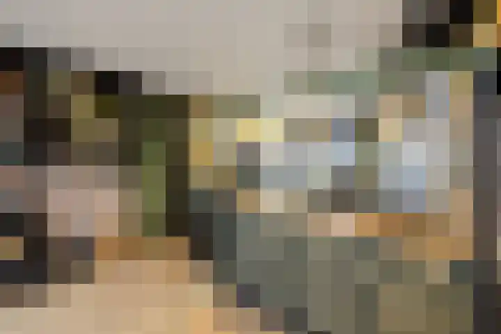 Kalsdonksestraat 4 Roosendaal thumbnail 4