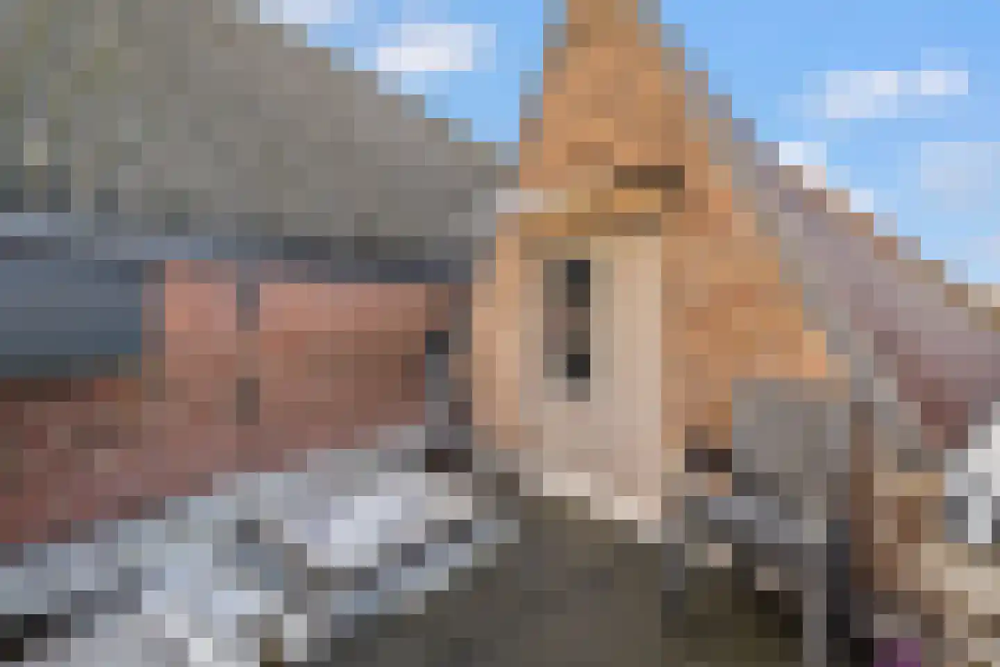 Kalsdonksestraat 4 Roosendaal thumbnail 41