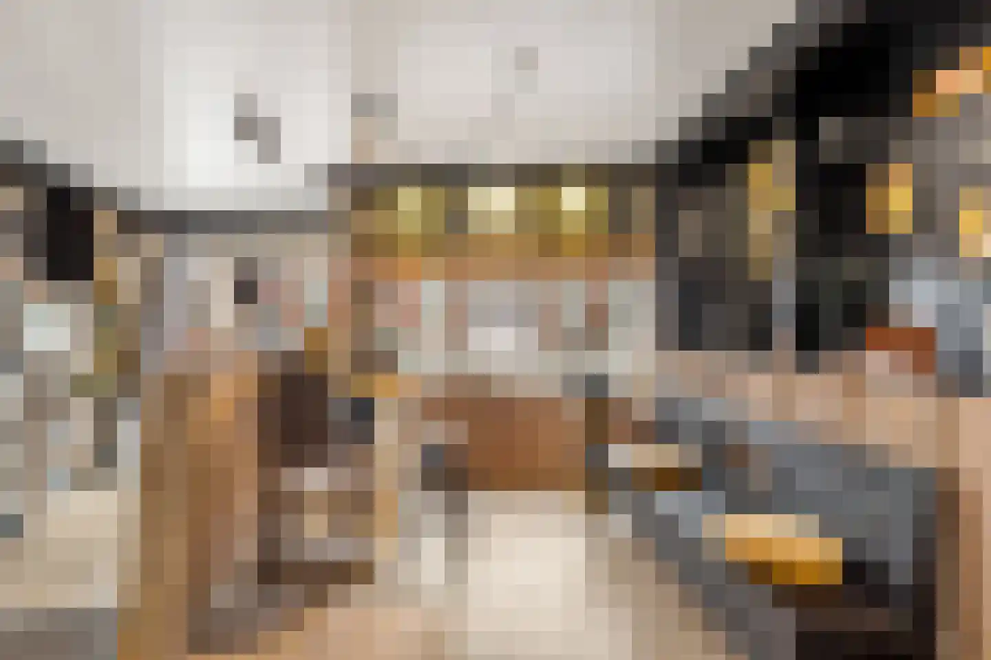Kalsdonksestraat 4 Roosendaal thumbnail 5
