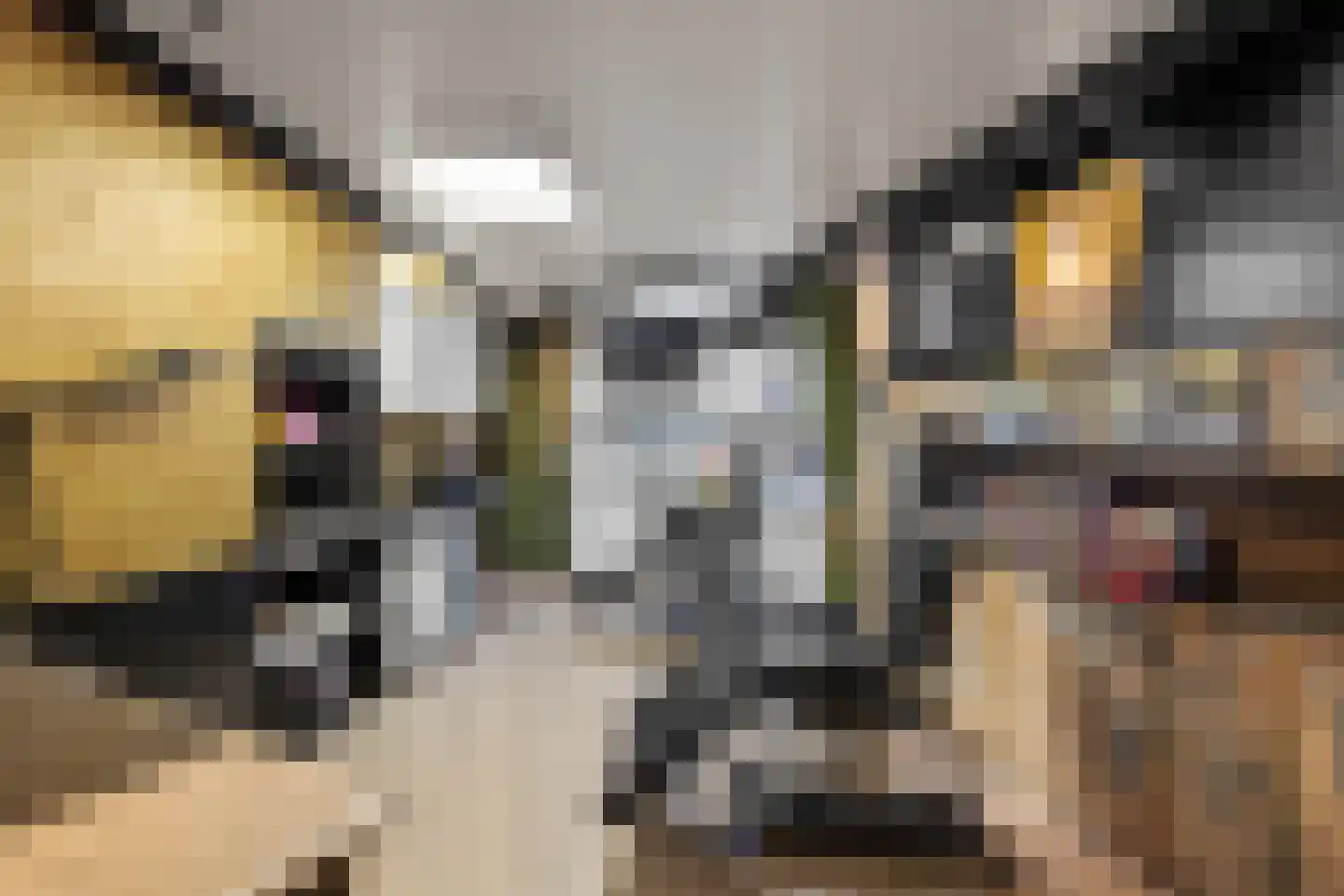 Kalsdonksestraat 4 Roosendaal thumbnail 7