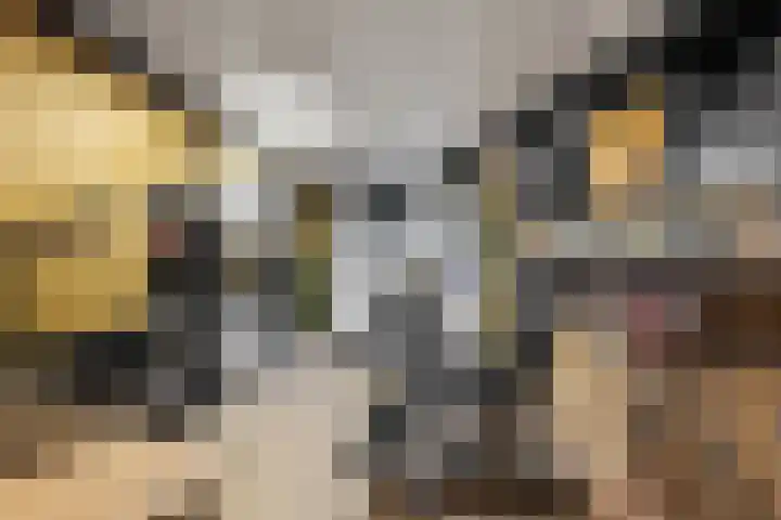 Kalsdonksestraat 4 Roosendaal thumbnail 7