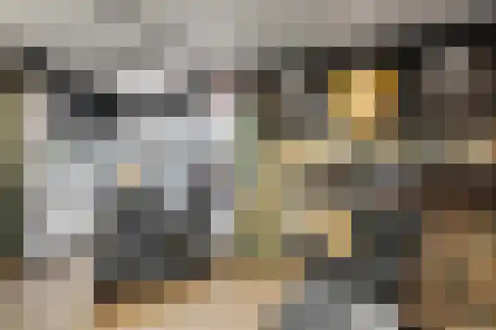 Kalsdonksestraat 4 Roosendaal thumbnail 8
