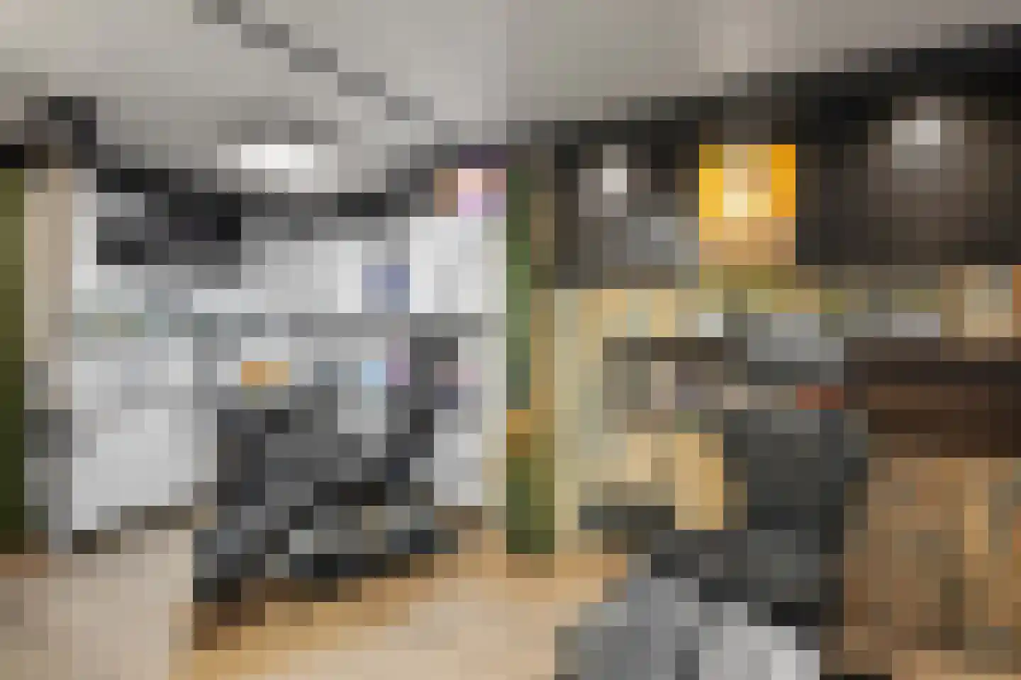 Kalsdonksestraat 4 Roosendaal thumbnail 8