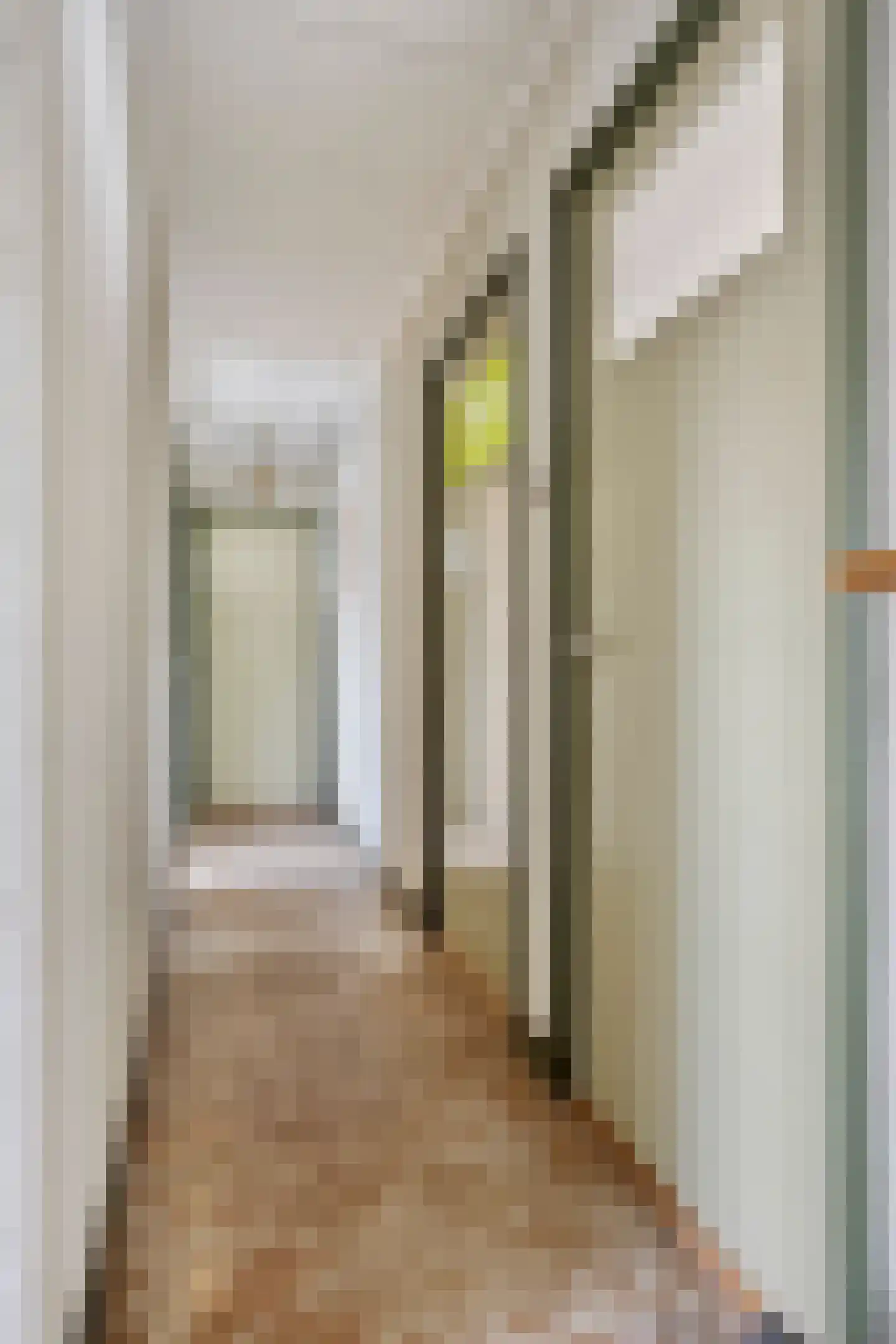 Kalsdonksestraat 8 a Roosendaal thumbnail 14