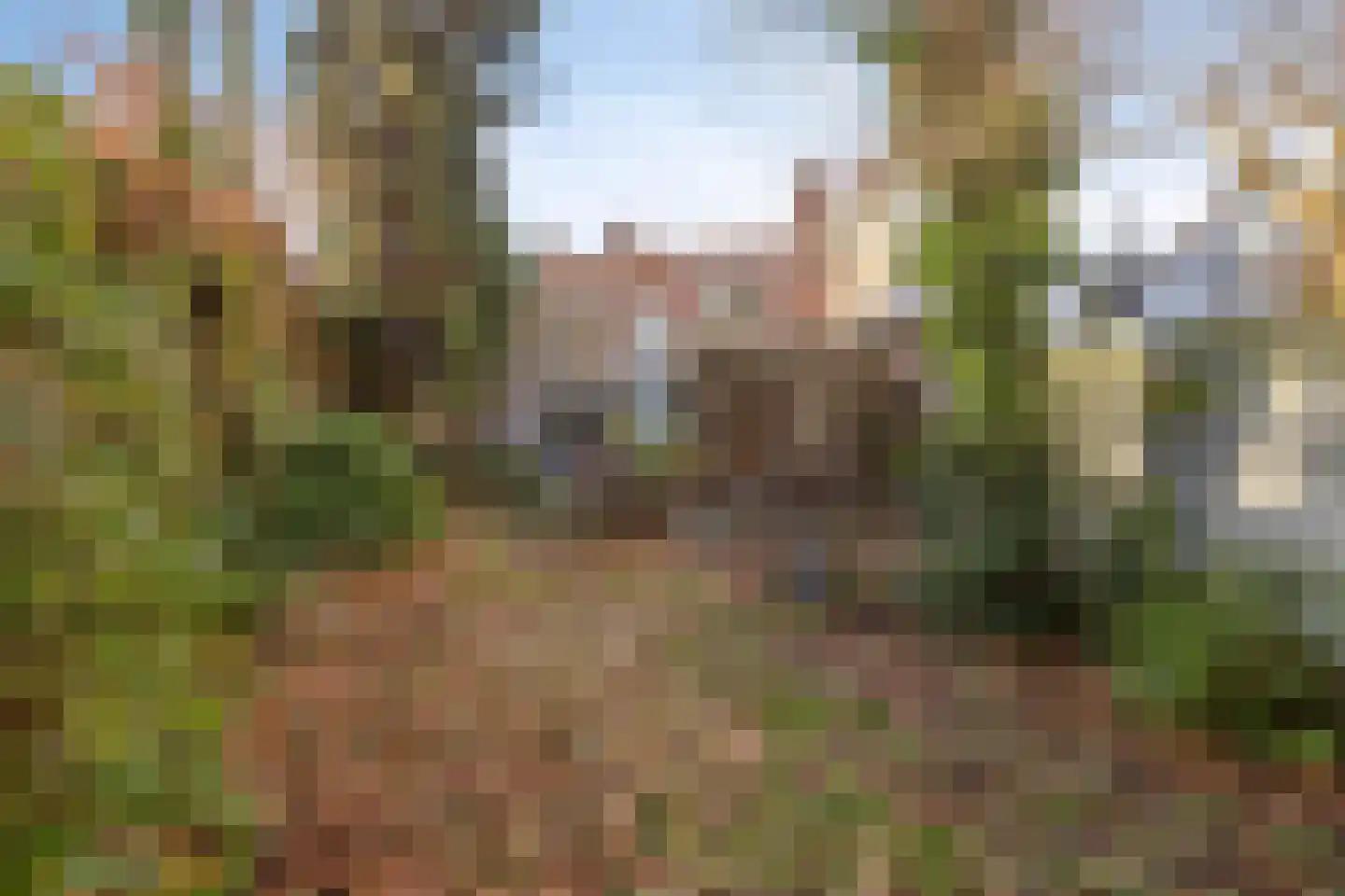 Kalsdonksestraat 8 a Roosendaal thumbnail 34