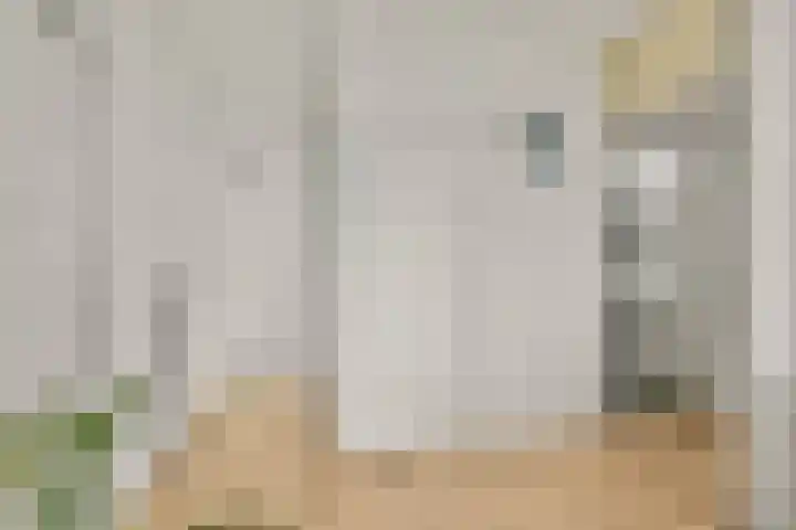 Kalslagerring 155 Nieuw-Vennep thumbnail 18