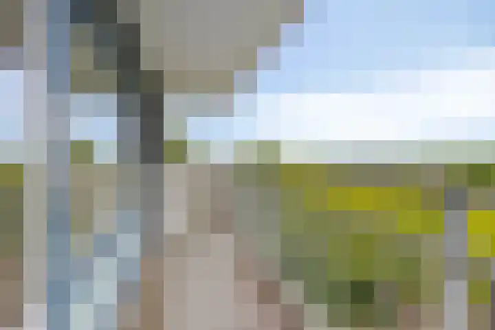 Kalslagerring 167 Nieuw-Vennep thumbnail 13
