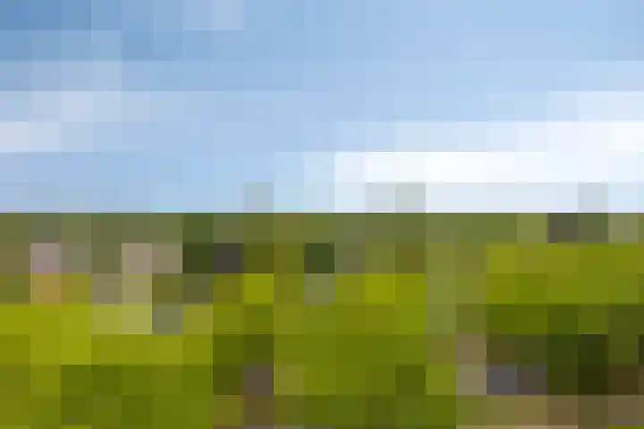 Kalslagerring 167 Nieuw-Vennep thumbnail 16