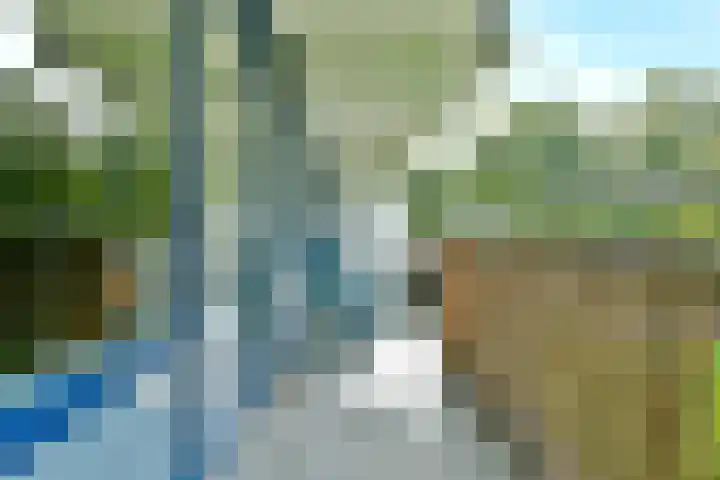 Kalslagerring 314 Nieuw-Vennep thumbnail 21