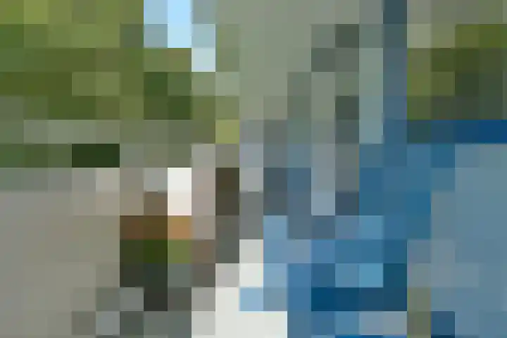 Kalslagerring 314 Nieuw-Vennep thumbnail 23