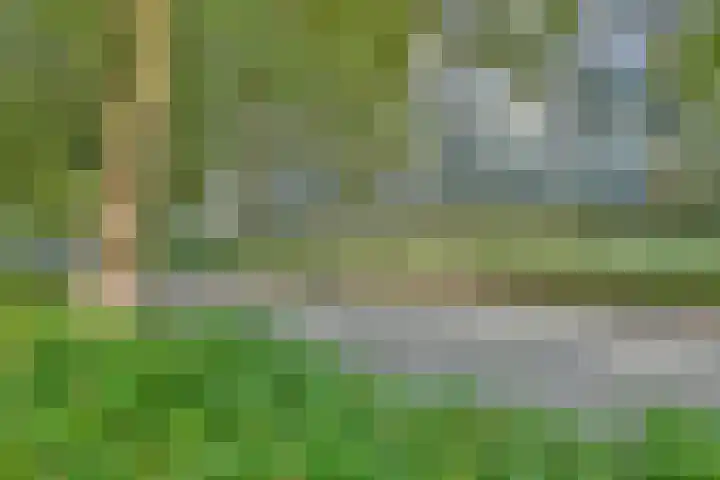 Kalslagerring 314 Nieuw-Vennep thumbnail 33