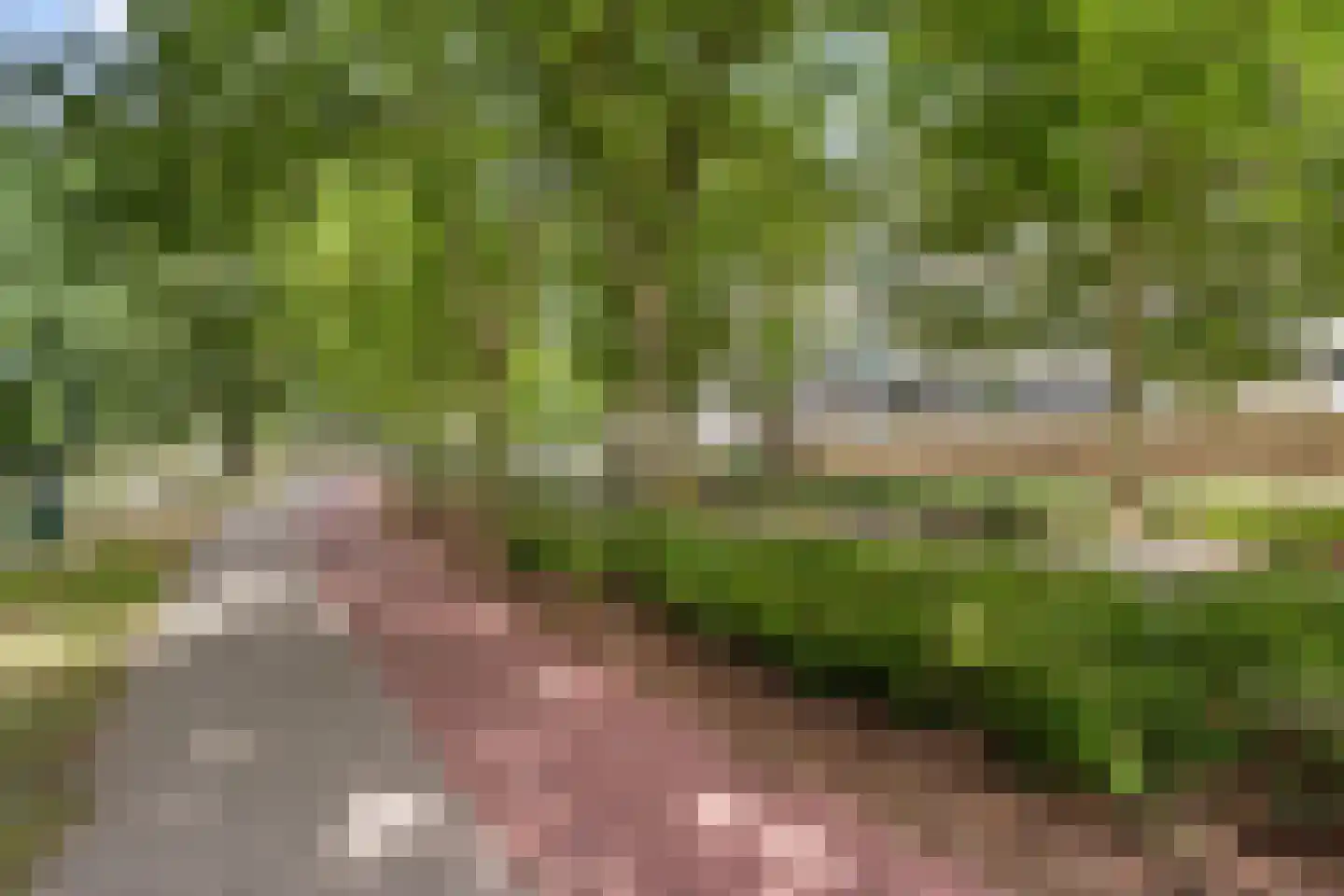 Kalslagerring 323 Nieuw-Vennep thumbnail 42