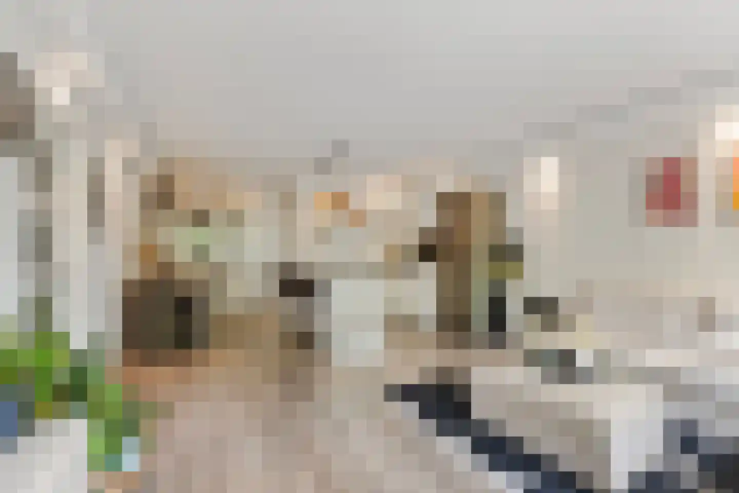 Kalslagerring 323 Nieuw-Vennep thumbnail 6