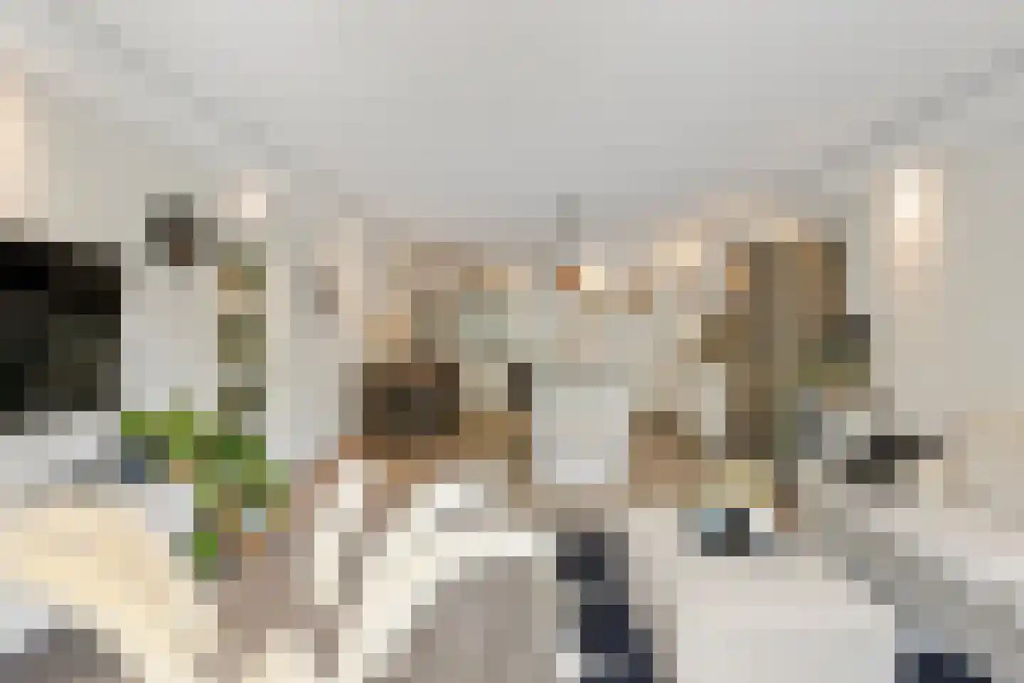 Kalslagerring 323 Nieuw-Vennep thumbnail 7