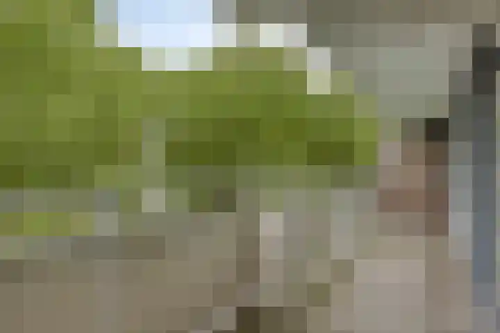 Kalslagerring 324 Nieuw-Vennep thumbnail 20