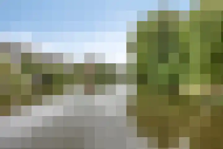 Kalslagerring 324 Nieuw-Vennep thumbnail 24