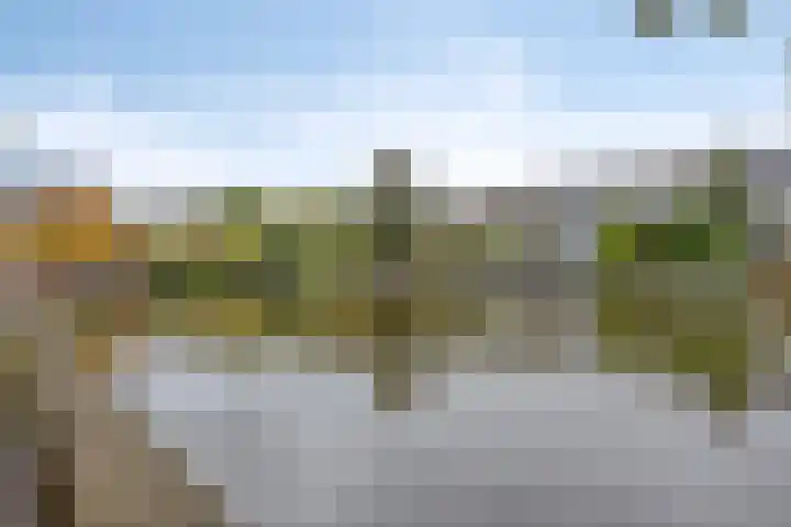 Kalslagerring 324 Nieuw-Vennep thumbnail 4