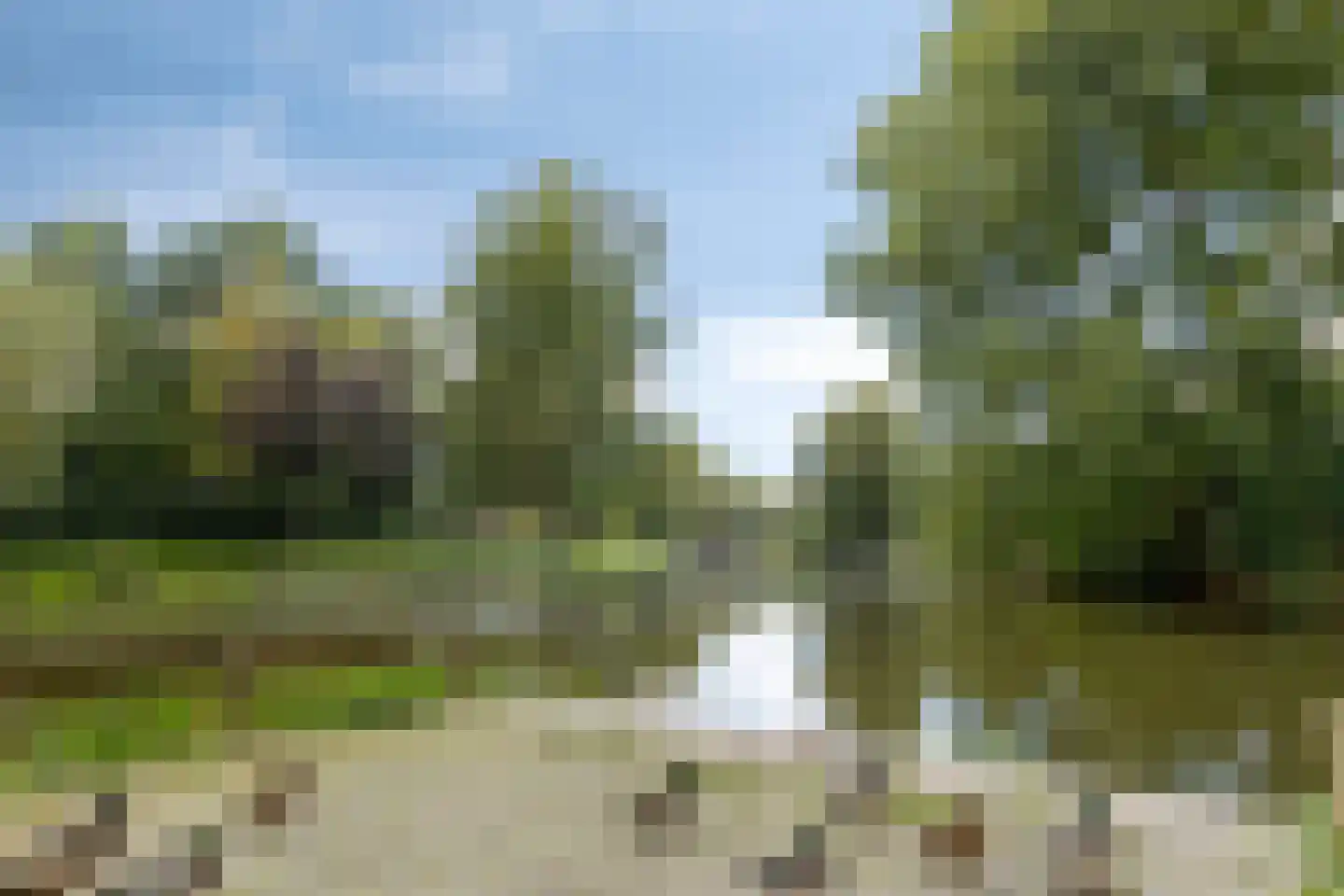 Kalslagerring 333 Nieuw-Vennep thumbnail 32
