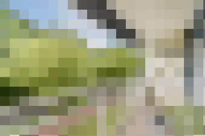 Kalslagerring 335 Nieuw-Vennep thumbnail 13