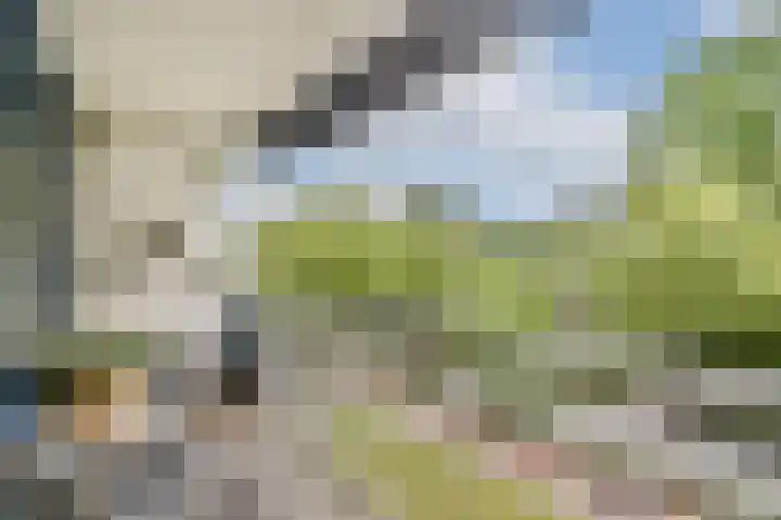 Kalslagerring 335 Nieuw-Vennep thumbnail 4