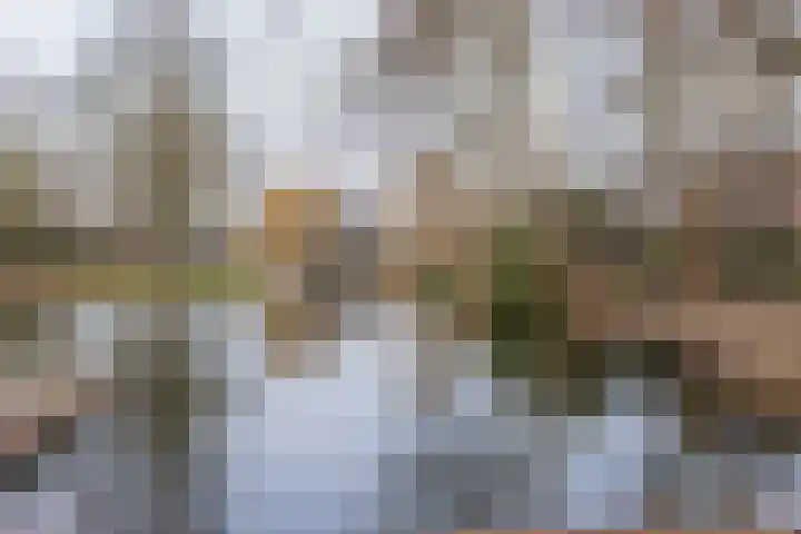 Kalslagerring 362 Nieuw-Vennep thumbnail 33