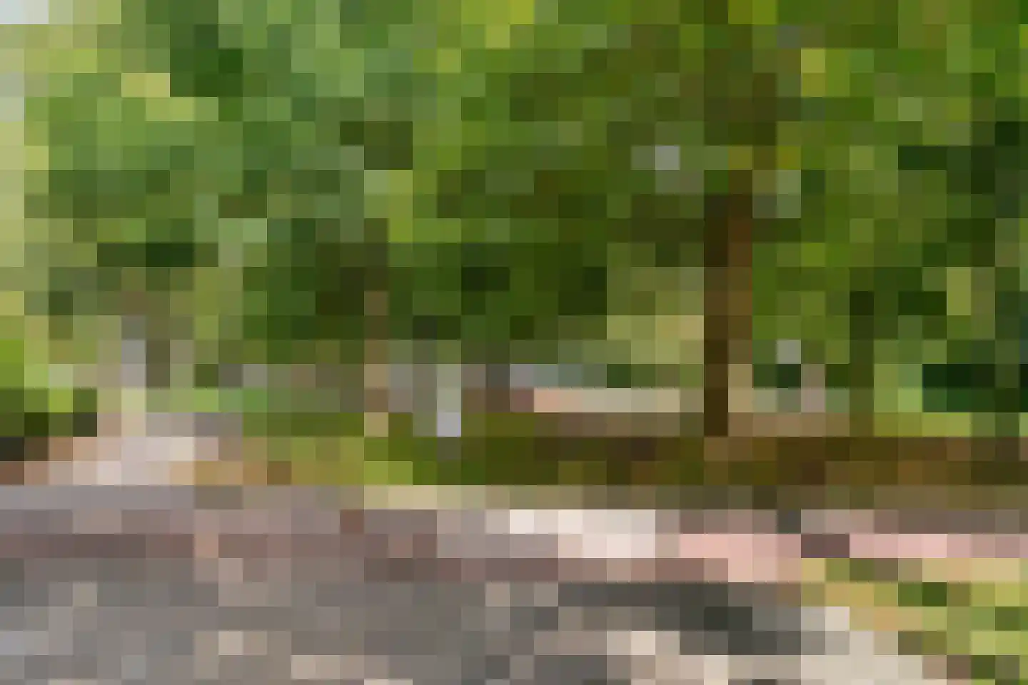 Kalslagerring 52 Nieuw-Vennep thumbnail 47