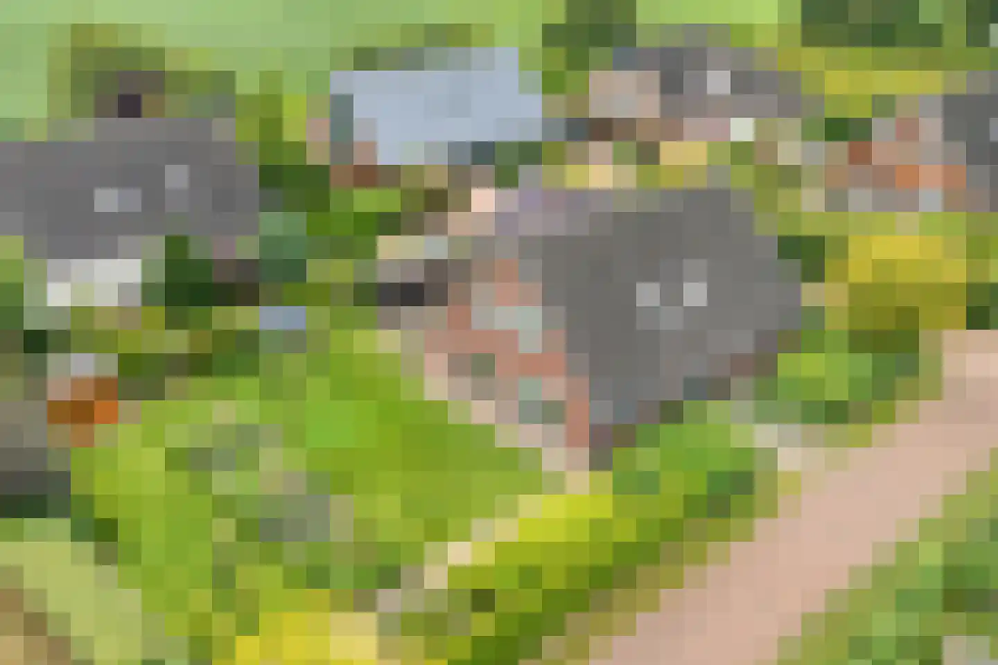 Kalterbroeken 60 Diever thumbnail 10