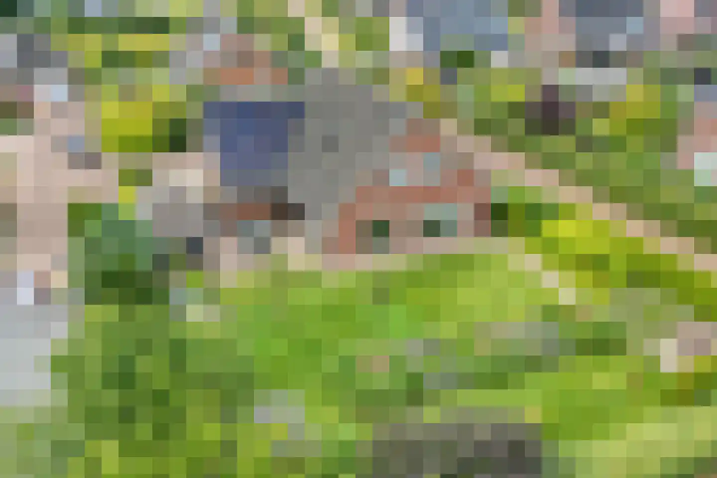 Kalterbroeken 60 Diever thumbnail 11