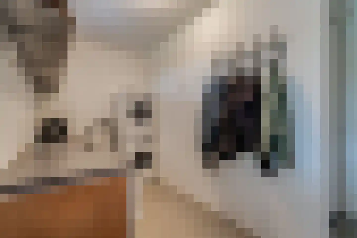Kalterbroeken 60 Diever thumbnail 13