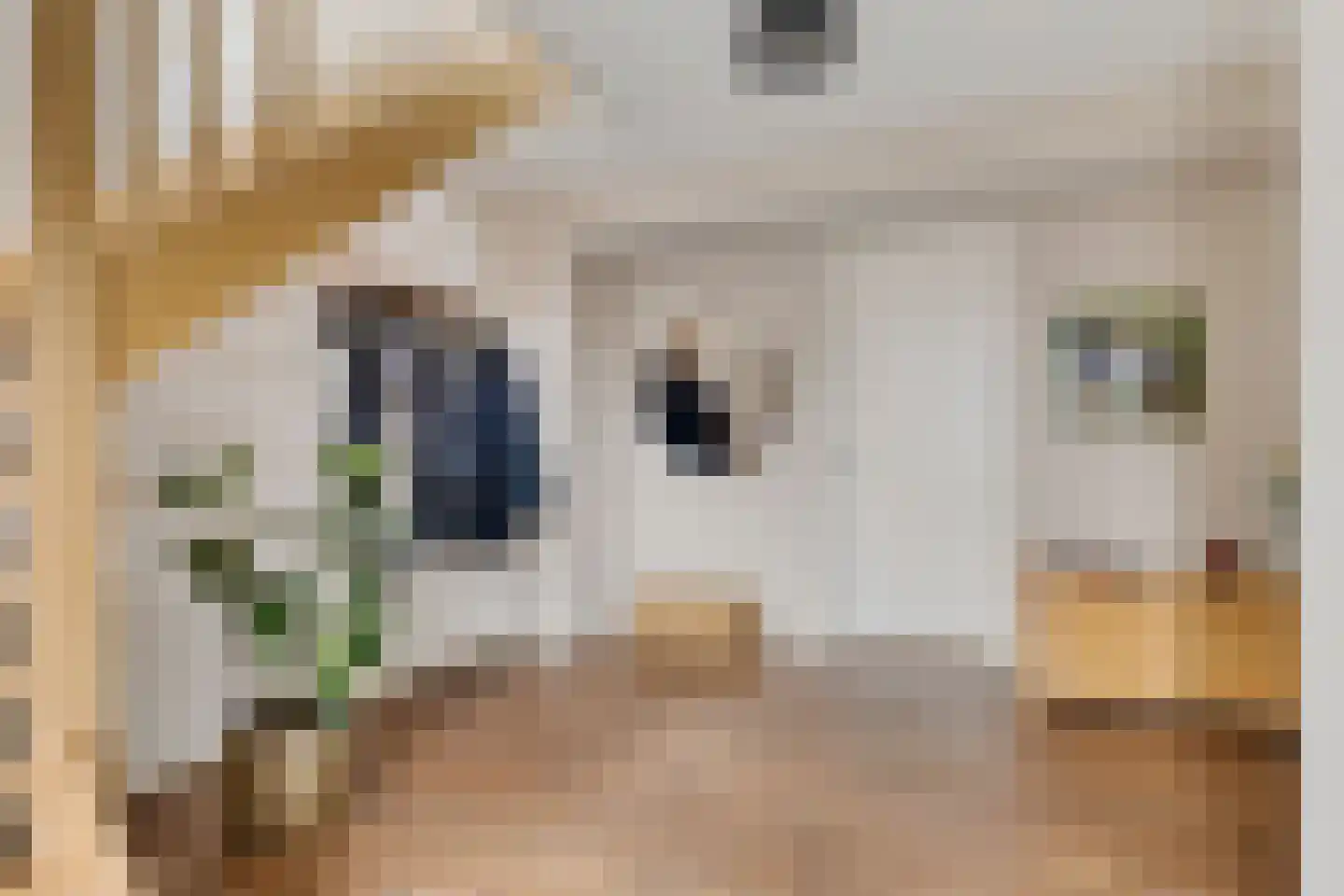 Kalterbroeken 60 Diever thumbnail 16