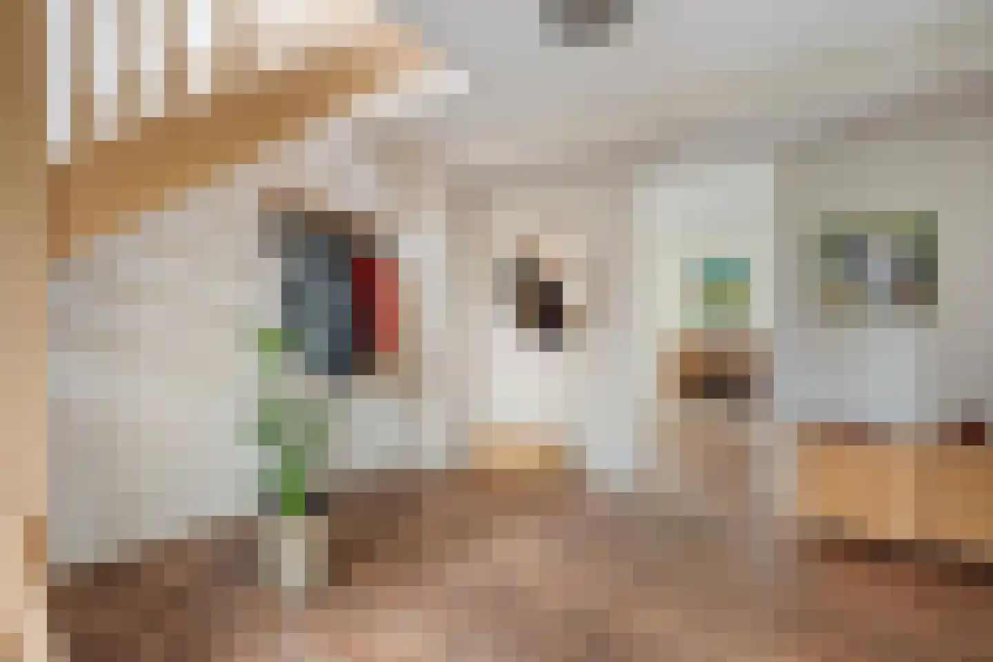 Kalterbroeken 60 Diever thumbnail 16