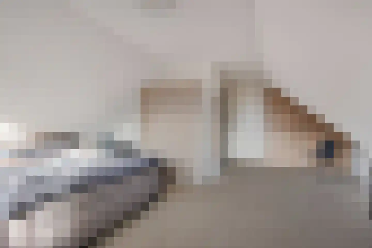 Kalterbroeken 60 Diever thumbnail 21
