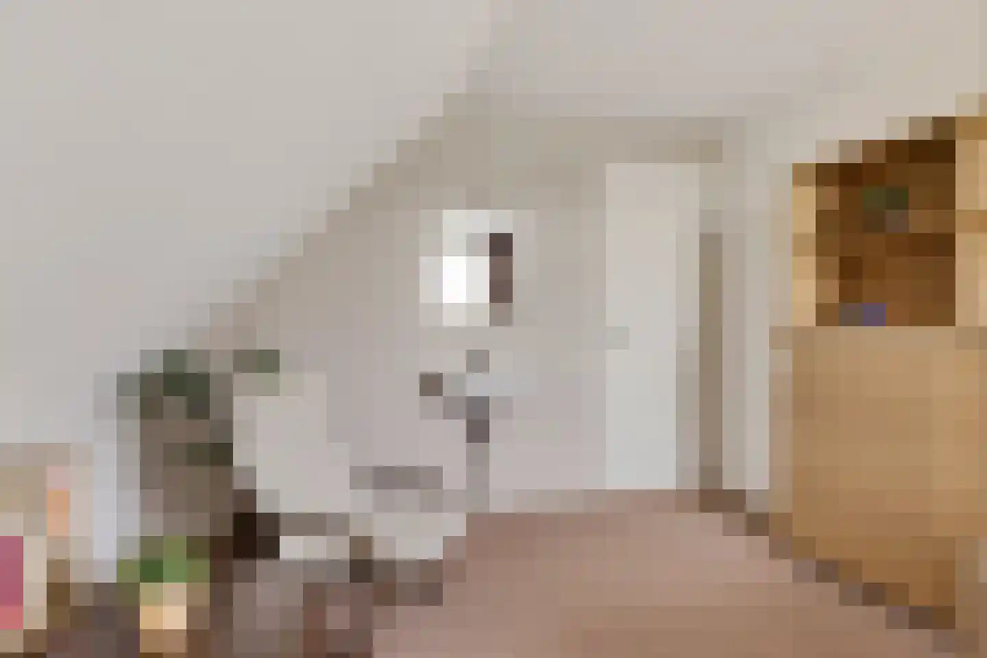 Kalterbroeken 60 Diever thumbnail 25