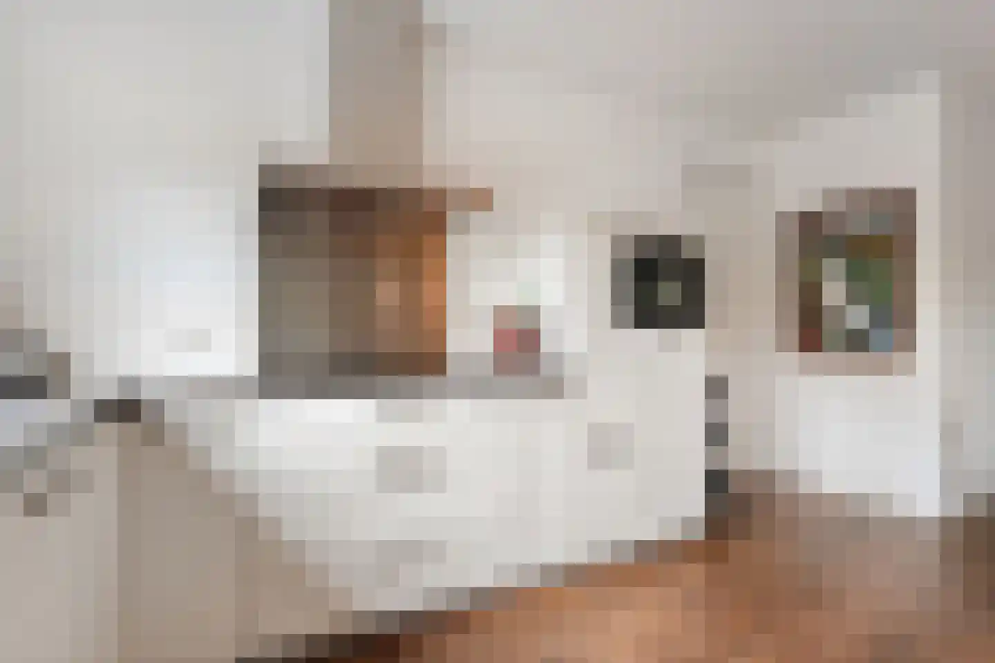 Kalterbroeken 60 Diever thumbnail 33