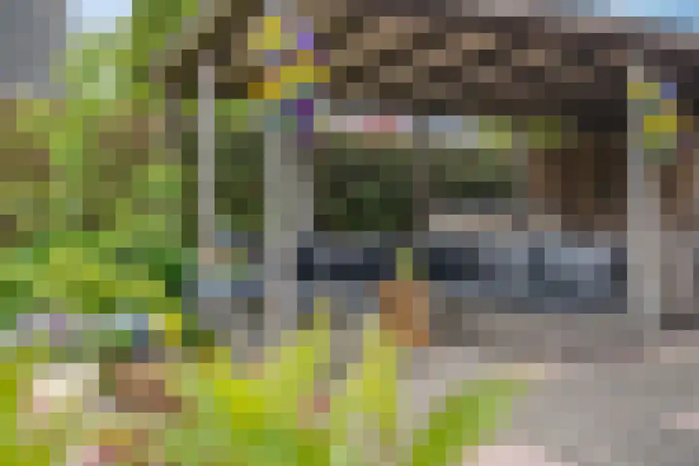 Kalterbroeken 60 Diever thumbnail 37