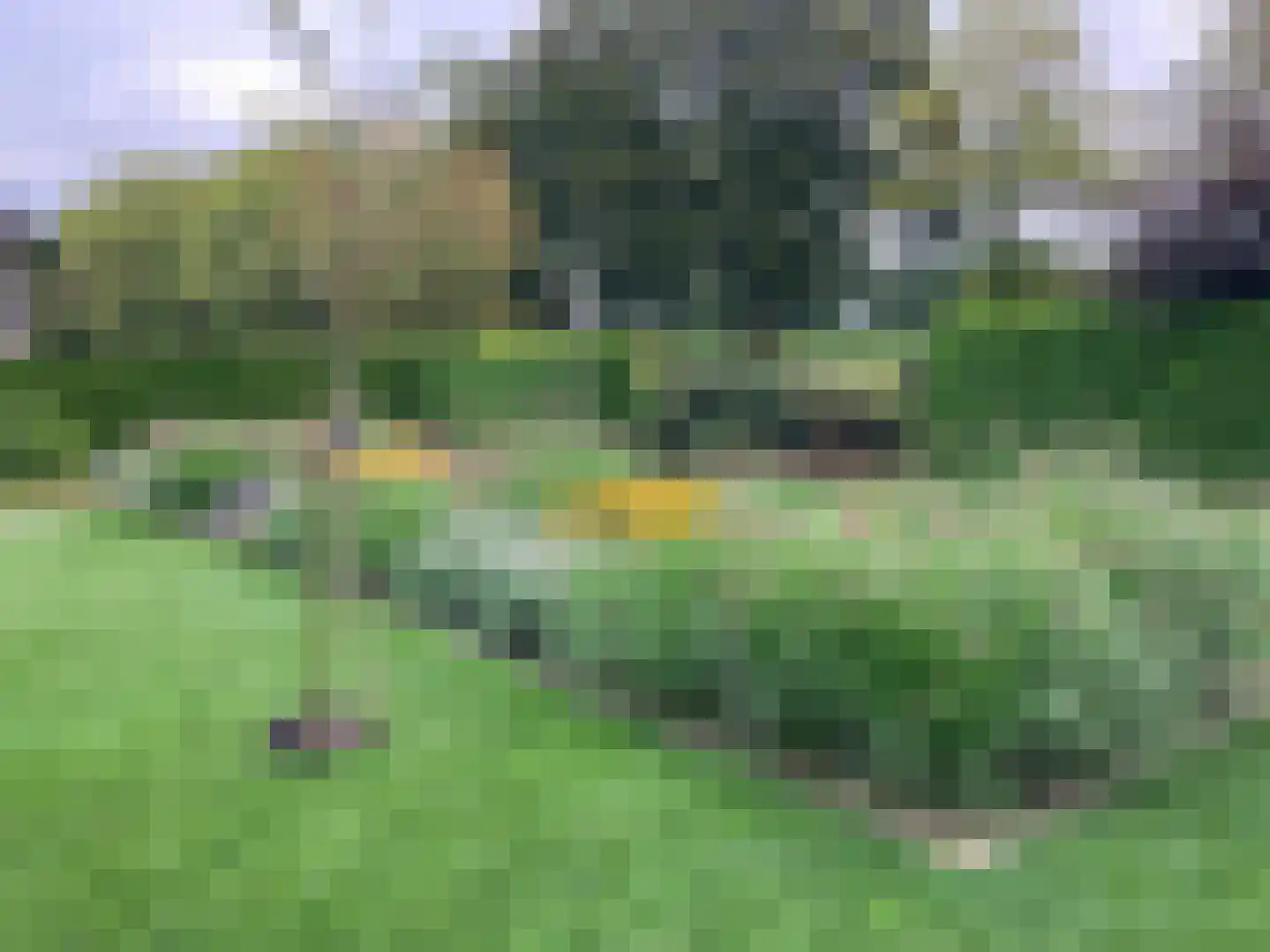 Kalterbroeken 60 Diever thumbnail 39