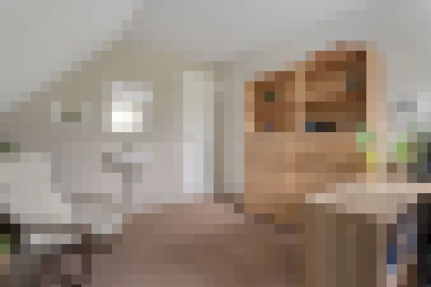 Kalterbroeken 60 Diever thumbnail 39